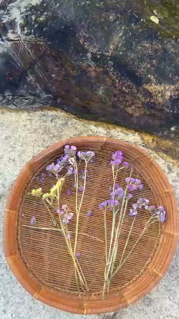 Un cesto con i fiori raccolti, appoggiato sulla roccia accanto al torrente