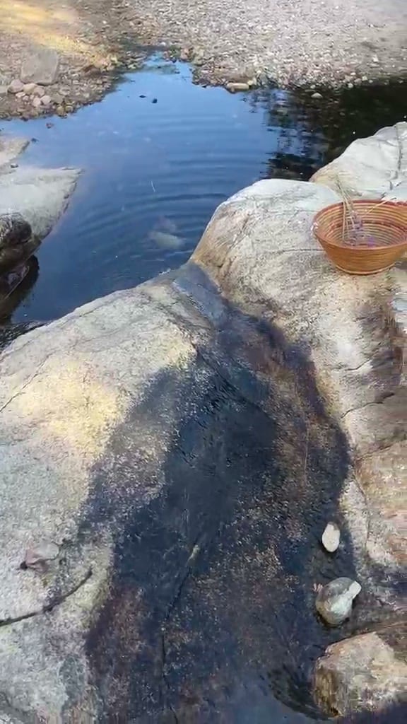 Il torrente tra le rocce dove avviene la raccolta